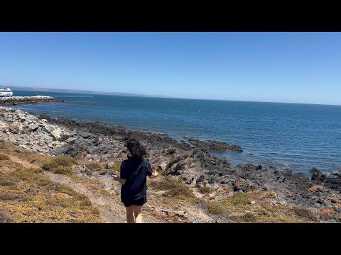 Melbourne to Echuca, Mildura & Adelaide Road Trip (Dec 26–30, 2025) | Scenic Summer Getaway