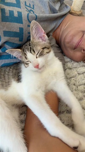 Making Our Next House a Forever Home for Fosters