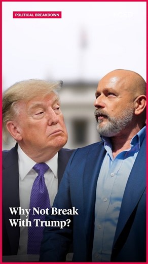 Steve Hilton Had Chances to Break With Trump. He Didn’t. | Political Breakdown