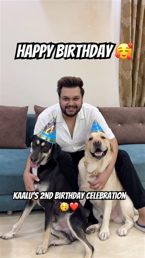 Celebrating My Dog’s Birthday ❤️🥳 #ytshorts #labrador #pets #minivlog #family