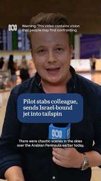 Pilot stabs colleague, sends Israel-bound flydubai jet into a tailspin | ABC NEWS