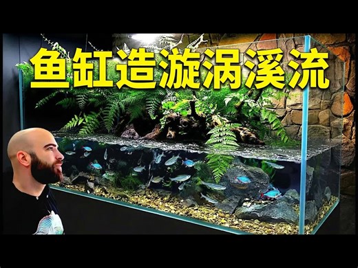 【中配】我在鱼缸里创造了一个旋涡河流：室内造景小实验 - MD Fish Tanks