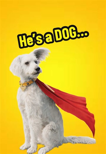 Superman’s Pet Krypto The Super Dog is in fact… a DOG. #superman #krypto #dc #dccomics #dcu