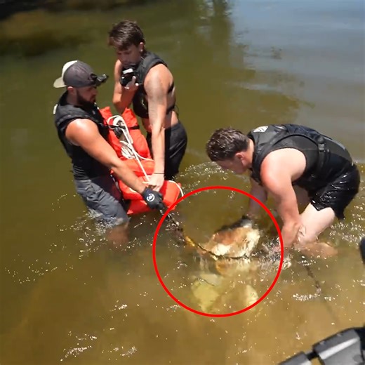 This Was So Heavy! (What is it?) | D ALL MY D