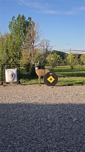 Watch This Arrow Fly Through the Air and Hit a 3D Deer Target!