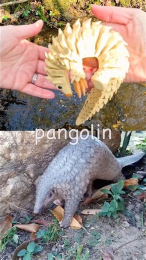 Learn at the Brook | Animal Names for Kids: Pangolin Sheep Cow Tortoise Owl