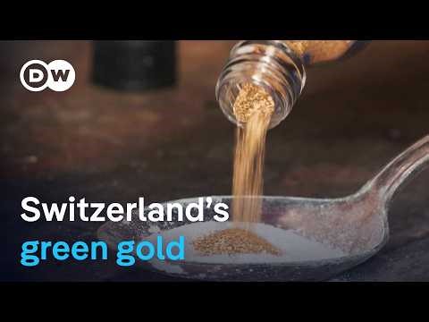 Why gold prospectors in Switzerland extract gold from gravel pits | Focus on Europe