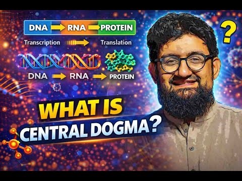 What is Central Dogma