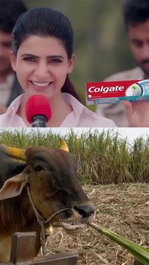 Try the NEW colgate Active Salt toothpaste! Colgate ads vs Cow 🤯😱🤣😂🤭 #shorts