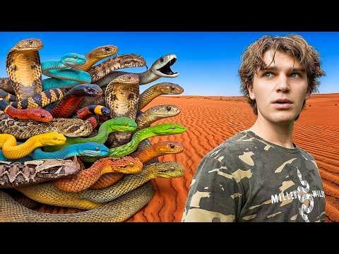 25 Most Venomous Snakes in the World