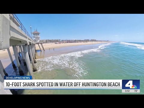 10-foot ‘aggressive' shark spotted in Huntington Beach
