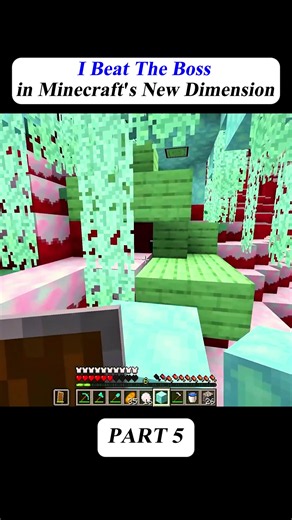 I Beat The Boss in Minecraft's New Dimension