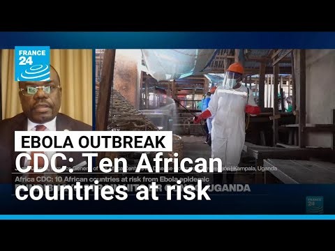 Ebola epidemic: Ten African countries at risk • FRANCE 24 English