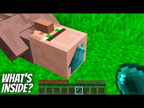 I found a TINY HOUSE TUNNEL inside a VILLAGER HEAD in Minecraft !