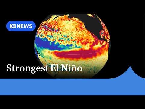 UK meteorologists warn of strongest El Niño in more than a century | ABC NEWS