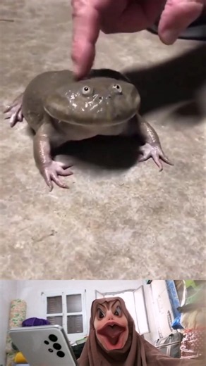 When frogs start screaming! 🐸🔊 VC: @pixelpunchlines26#FrogSounds #Shorts #FunnyFrogs