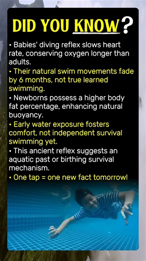 Newborns: Born Swimmers? The Shocking Truth!