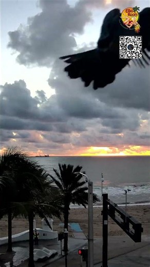 🌴 Florida Sunrise Timelapse – Fort Lauderdale Beach Cam (50s) October 28, 2026 #Shorts
