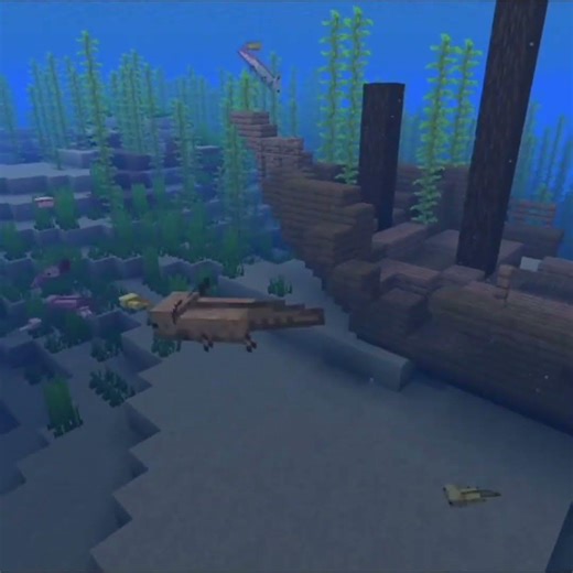 Cutest Minecraft baby mobs: NUMBER 8🫧