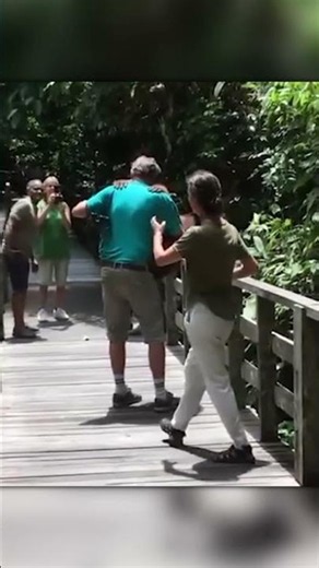 This Tourist Got the Sweetest Orangutan Hug Ever