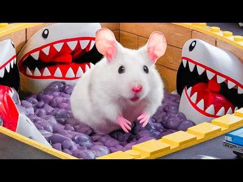 😱🐹 Hamster Escapes the Tsunami Giant Wave Water Maze for Pets 🌊
