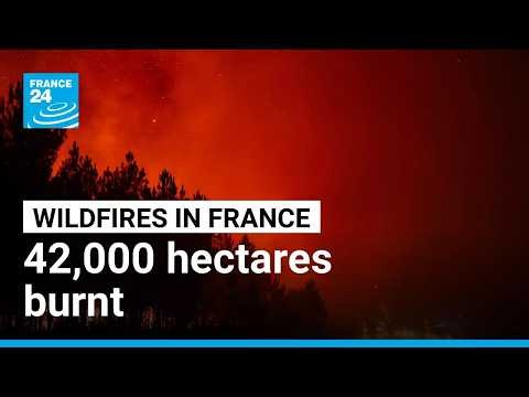 Fires in France: 42,000 hectares burnt, 220,000 people evacuated • FRANCE 24 English