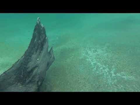 Buceo #30 en la Isla HUEMUL Bariloche RN 20230312