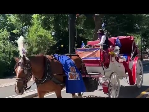 Muerte de caballo en Central Park reaviva debate sobre los carruajes