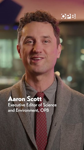 🌲Shared stories from every corner of our region🌵in 2026