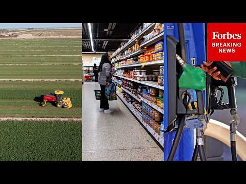 Cost Of ‘Everything’—Beginning With Groceries— Will Likely Rise As Diesel Nears $5 Per Gallon