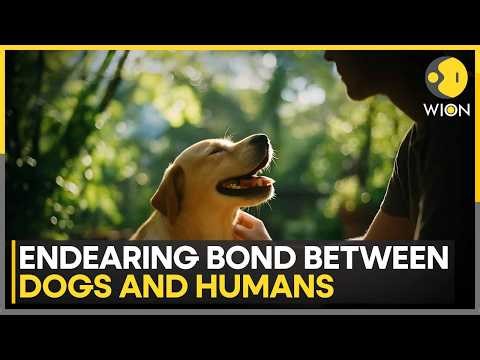The Science Behind Dog-Human Love: Why Dogs Trust Us Like Family | WION