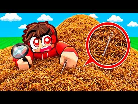 ROBLOX FIND THE NEEDLE…