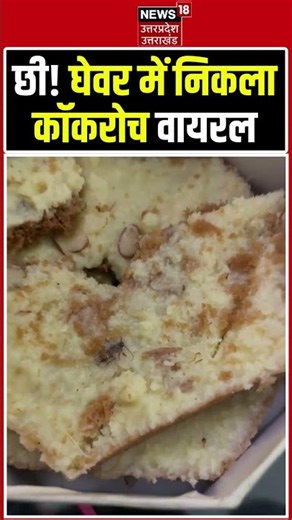 Cockroach Viral Video : घी! घवेर में निकला कॉकरोच वीडियो वायरल | FoodSafety | FoodHygiene