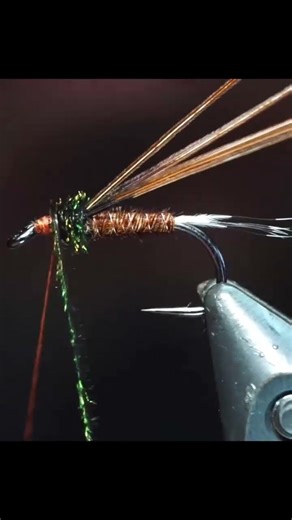 BCFLYGUYS Top Stillwater Fly Patterns: Chan’s Chironomid Pupa Fly #chironomid #brianchan