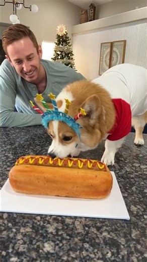 Happy 9th birthday Hammy!