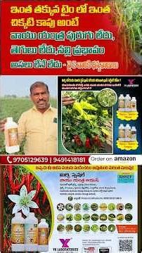 తక్కువ టైం లో ఇంత చిక్కటి కాపు అంటే వాయు యంత్ర-పురుగు,తెగులు లేదు,నల్లి ప్రభావం అసలు లేనే లేదు#మిరప