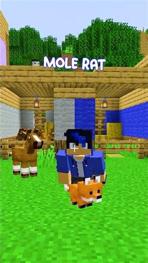 What are you doing with my EGG?