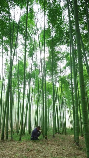Handmade Chopsticks and Ancient Papermaking Techniques