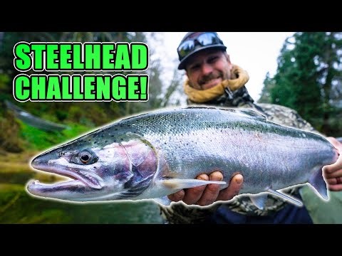 Early Winter Steelhead Fishing… This Was Unexpected (Bonus 2025 Year End Recap) 