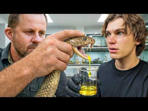 Deadliest Job in the World | Venomous Snake Milker!