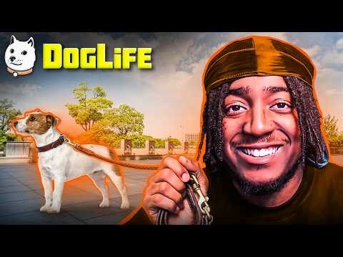 BITLIFE BUT I BECAME A DOG?