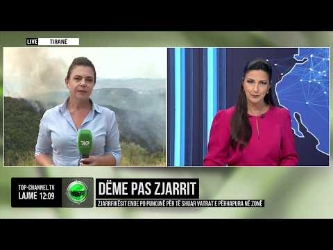 Top Channel/ Dëme pas zjarrit, zjarrfikësit ende po punojnë për të shuar vatrat e përhapura në zonë