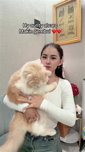 Hy aunty alvaro Makin gembul - short Korean chant