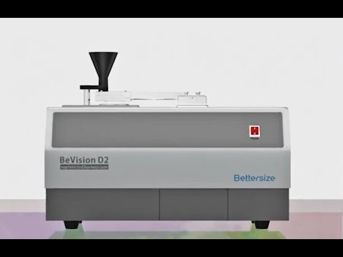 BeVision D2 A Precise Vision of Particles