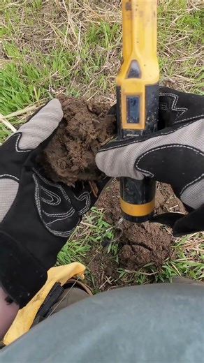 This signal was really good! #metaldetecting #lionheartdetecting #treasuresearch