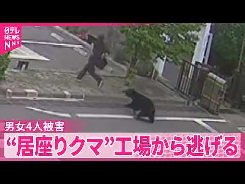 【居座りクマ】男女4人被害 工場から逃げる 福島市