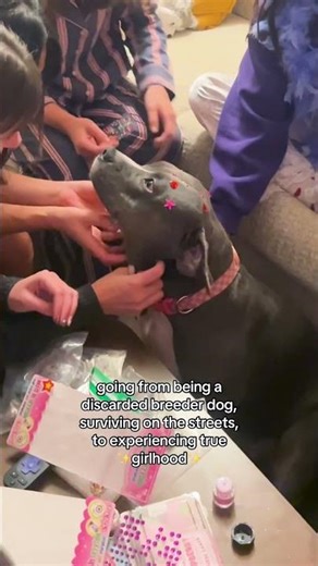 Girls Night With Our New Rescue Dog 🥹