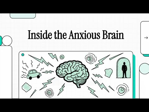 How the Brain Responds to Threat and Stress: Neurocircuitry of Fear & Anxiety (Shin & Liberzon 2010)
