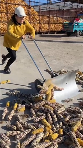 Helpful farming tool for rural farmers | Amazing agricultural tools for corn farming #tools #farming