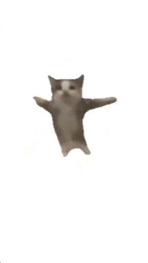 Dude that meme died a long time back